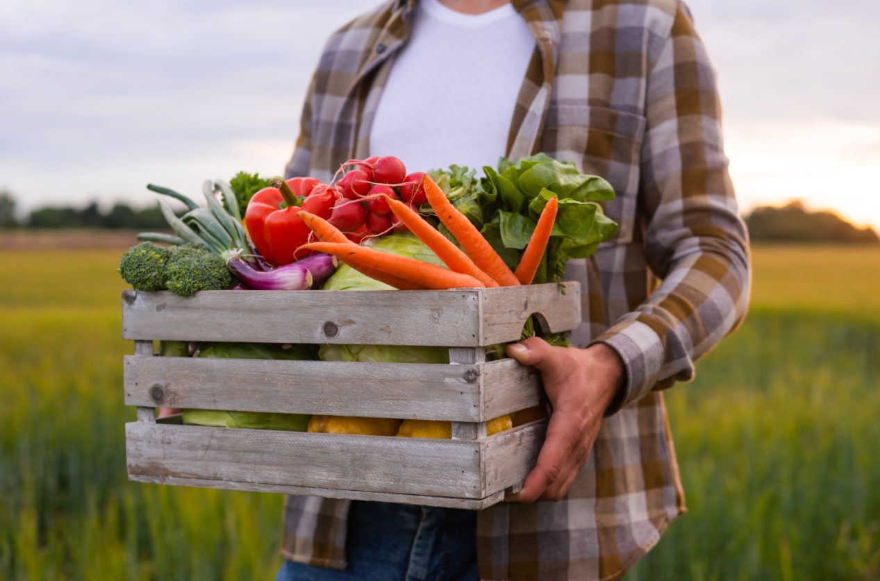 fruits et légumes de saison